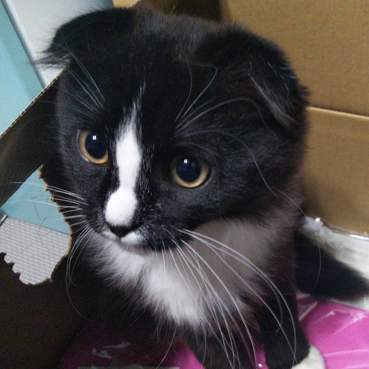 Fcf021d6 5db2 4692 b2e0 07773d349e47 1641855631694