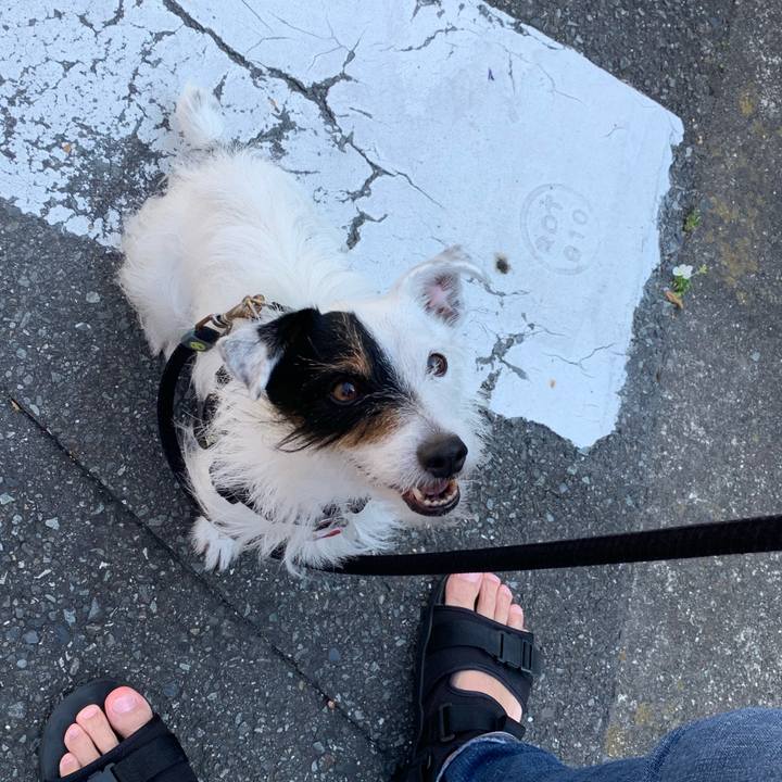 Fcf030b3 f5c9 4064 a04e 73e05ce3feb2 1623284217863