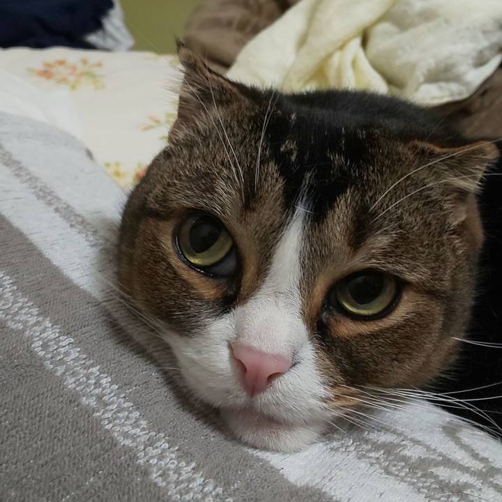 Fcf05857 abe7 4127 816c 51113b01947e 1610627383864