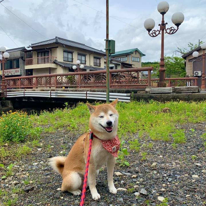 Fcf05b32 010d 42f5 a310 902557e727c0 1651048480560