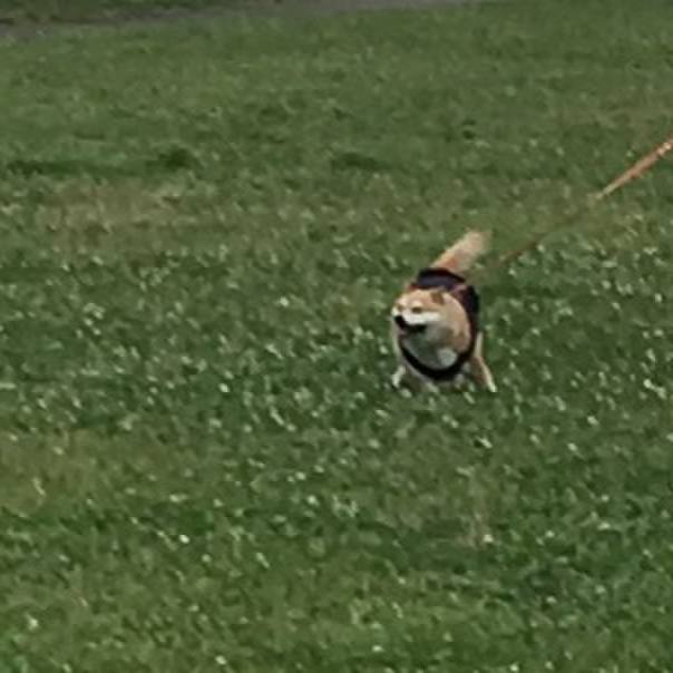 Fcf072d7 9004 4bf6 b1d1 954da2e395cd 1561628774422