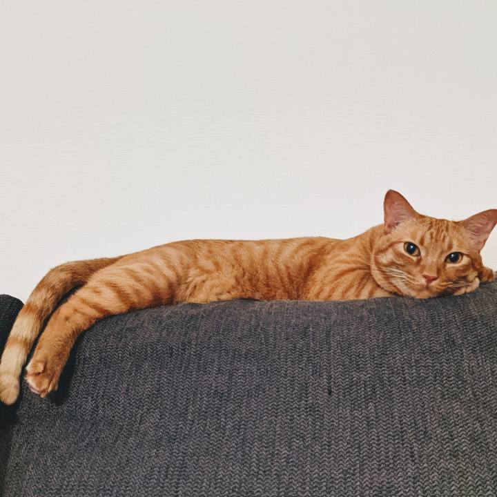 Fcf0749b ae9d 4608 8e8a 3b939d28e49e 1622638292202