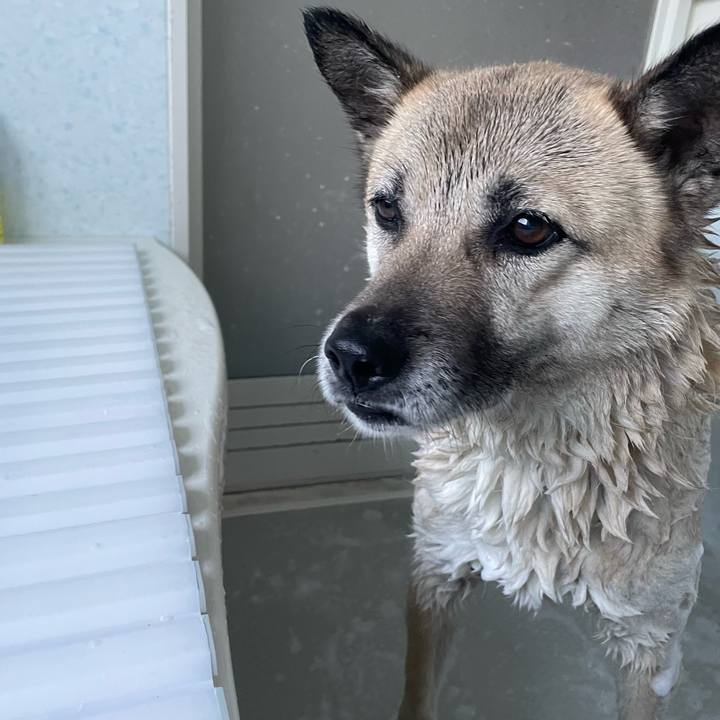 Fcf0aef6 cb6e 4e5c aa9c 050bcd5f7b87 1678531116317