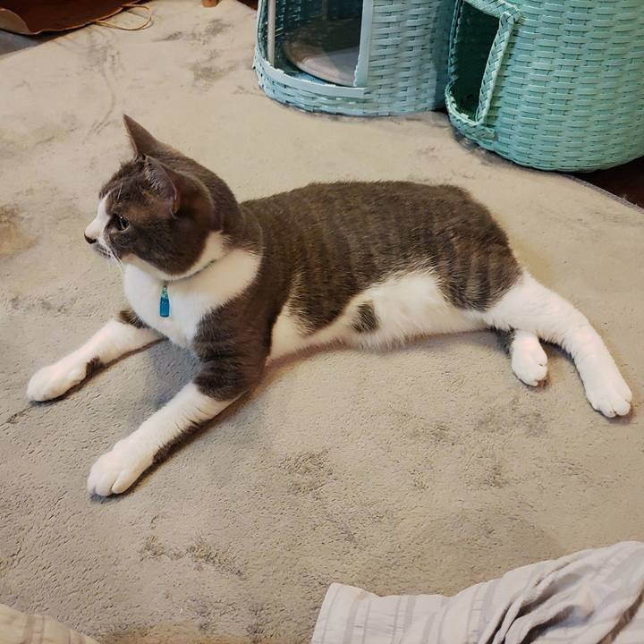 Fcf0e196 9a40 4523 b99a a7512e03bf17 1653311499206