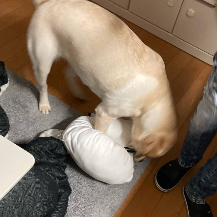 Fcf0f114 8d2f 4d1c b620 5c24f312297c 1644443756078