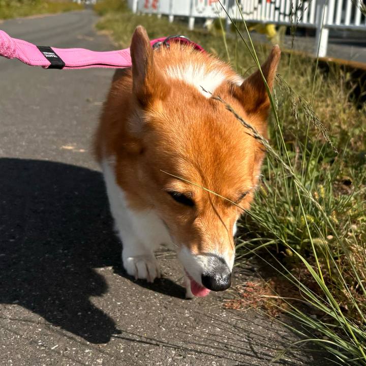 Fcf125b3 fb06 463d 9342 448ed73c4ef1 1729561499627