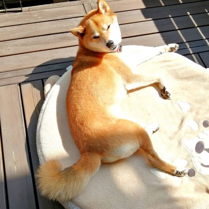 Fcf13b55 ea2c 4a30 a487 7513f599982c 1686635428993