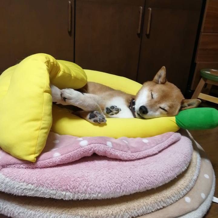 Fcf18f73 098e 4ae5 bfc8 e804b375f2d0 1681570886603