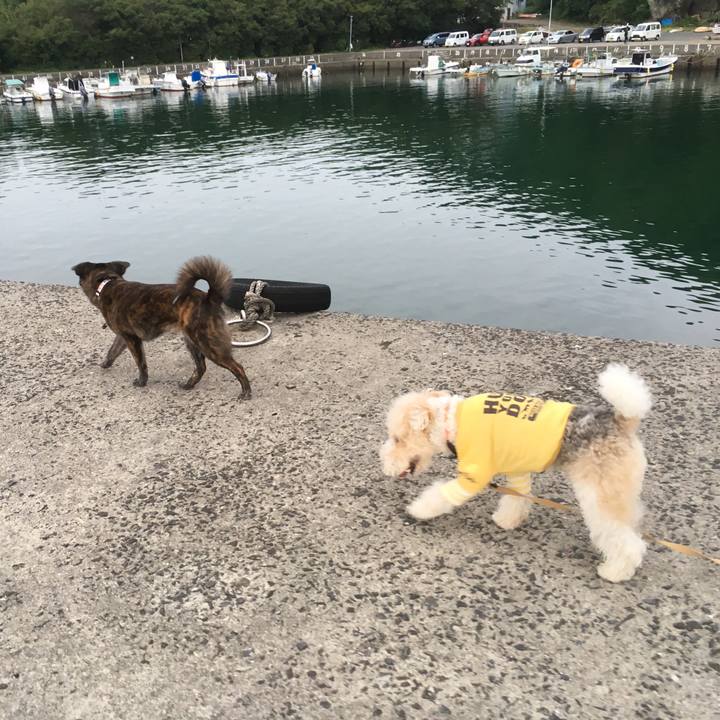 Fcf193a6 ac67 4741 a678 9a167f06cd43 1530187153758