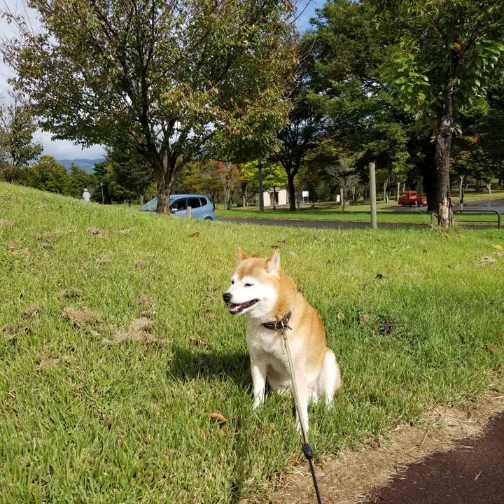 Fcf1b252 c7cc 4eb9 8215 101161f8592b 1665202836729