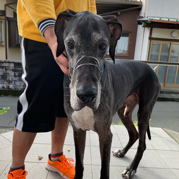 Fcf1b3a0 f858 454c 954a d48b15fd845b 1602979070144