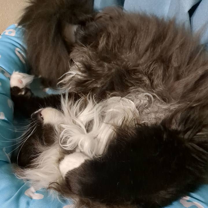 Fcf1bff7 ee45 4261 a2fa a49c904c7079 1668327554964