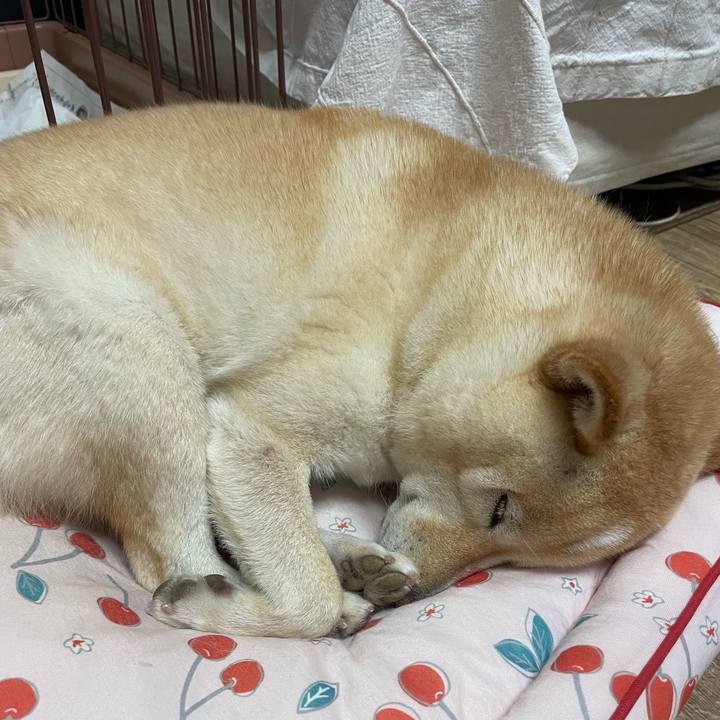 Fcf1cadf 4102 474d 8316 24dd62509084 1696250005903