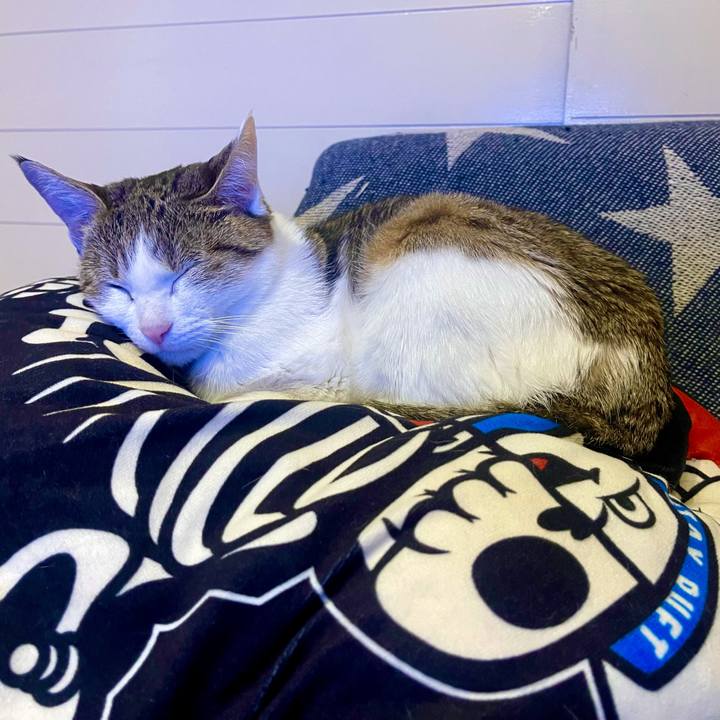 Fcf1fd0b 5924 4bfb 8e5b 1286ee975041 1636532071935