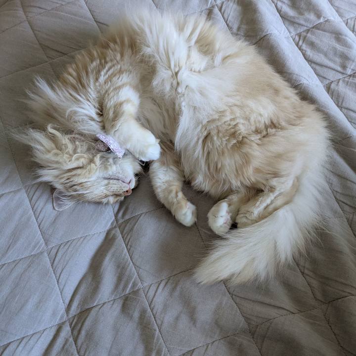 Fcf23d4c d57b 4f50 b67b 9c73ea676053 1754613945427