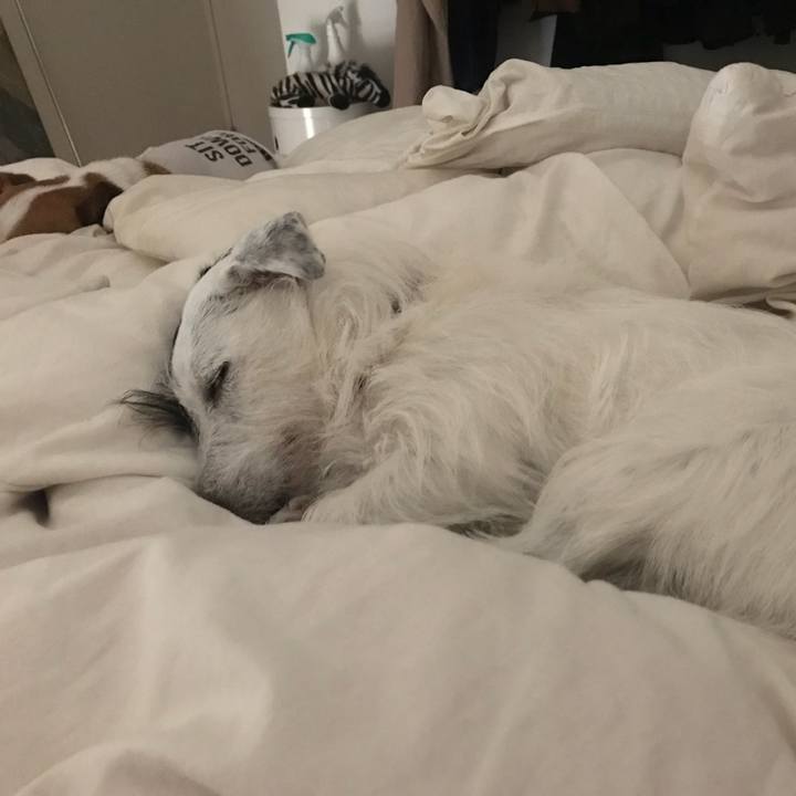 Fcf2a62f a029 488d a26f 39836be12b08 1533222501137