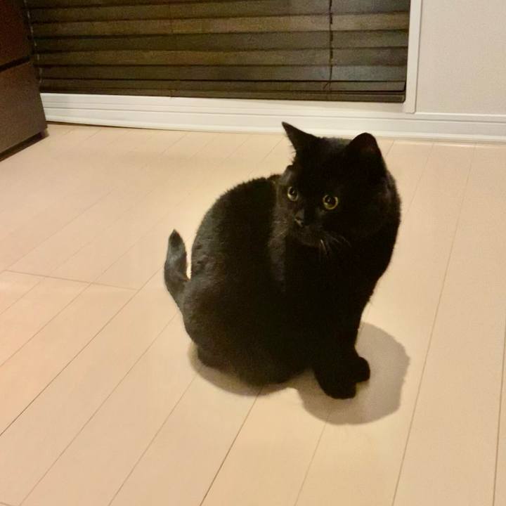 Fcf2ab7c 2272 458c a301 94eb62575421 1697291196091