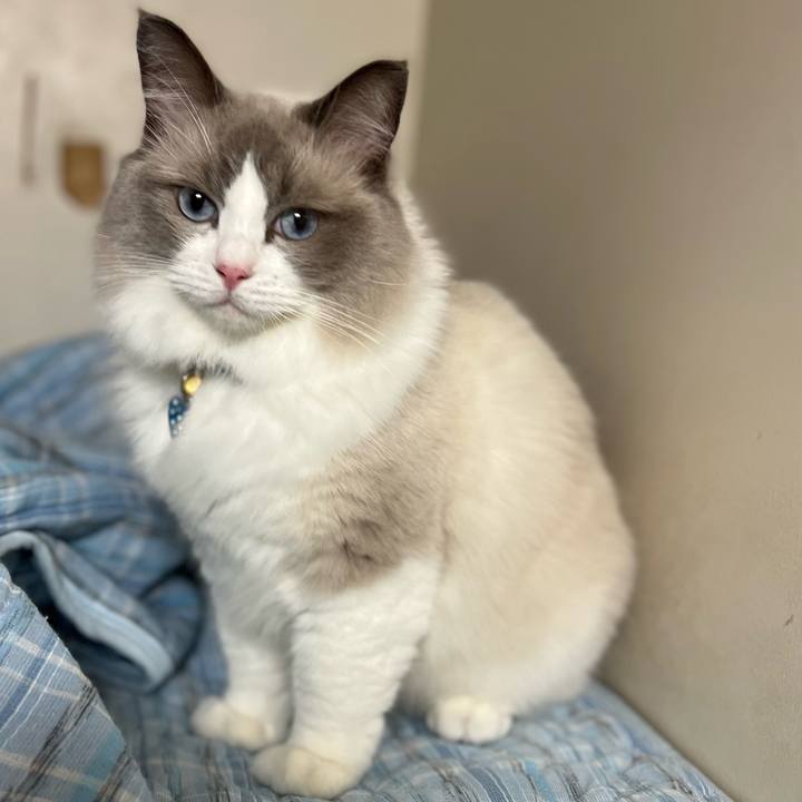 Fcf2ac72 df58 45b7 998a cd5cec69c4c5 1660677127780