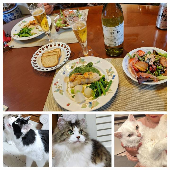 Fcf2bcd9 83dc 47c2 8b44 f1b3eef1cfa2 1707296788882