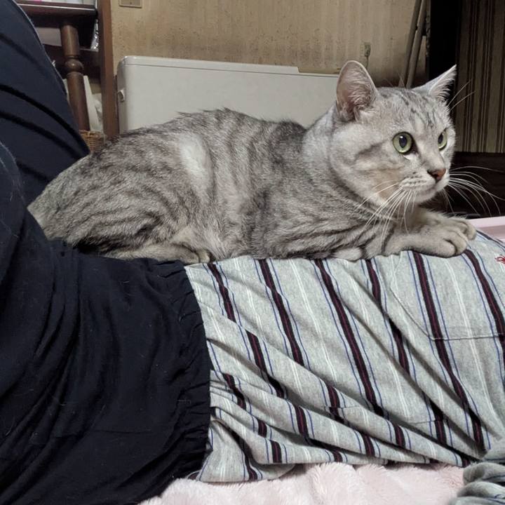 Fcf2c427 1637 4a62 b3a3 4de32f6e6a98 1758270932035