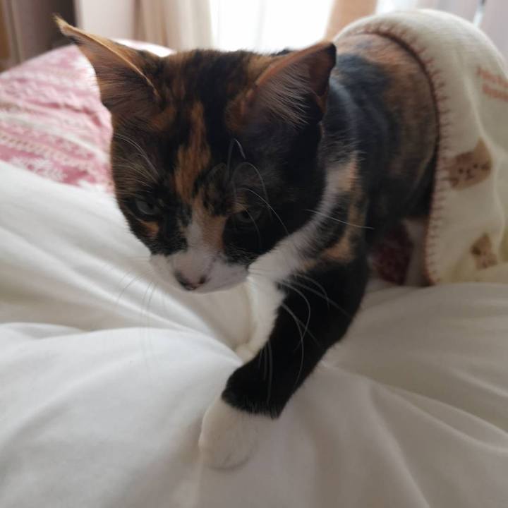 Fcf2f0ae 8c8b 4163 a7da b5a63411adeb 1613204301678