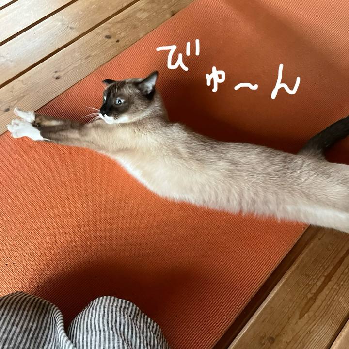 Fcf305ce c00a 4a71 a4cc 5c15005d6fad 1729723754839