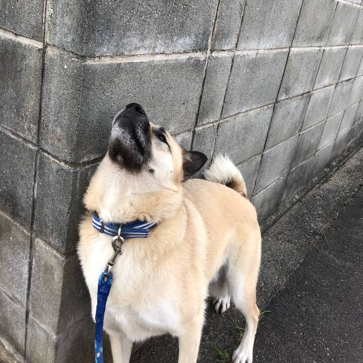 Fcf3191f 0639 4295 b845 58bab1b81135 1591186728496