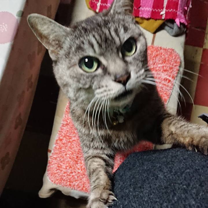 Fcf33881 79e1 46a4 b791 72a79aaa9824 1551932171291