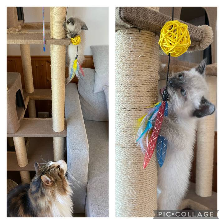 Fcf34c4e 04be 4127 868a 4c25dd737984 1686087975747