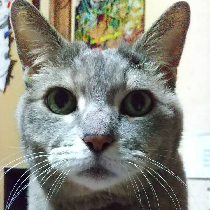 Fcf35d92 c567 4b8d b490 1bccc250e8e1 1639434111039