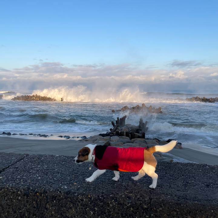 Fcf38c8e ffc1 4961 b6ed 5e531b528159 1671233798048