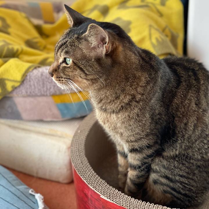 Fcf3e2c0 4f27 4206 b6dc f746def1c740 1616464786145