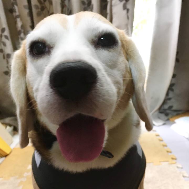 Fcf3f3d5 20cb 40c0 81f0 7a03bae52a76 1571370283831