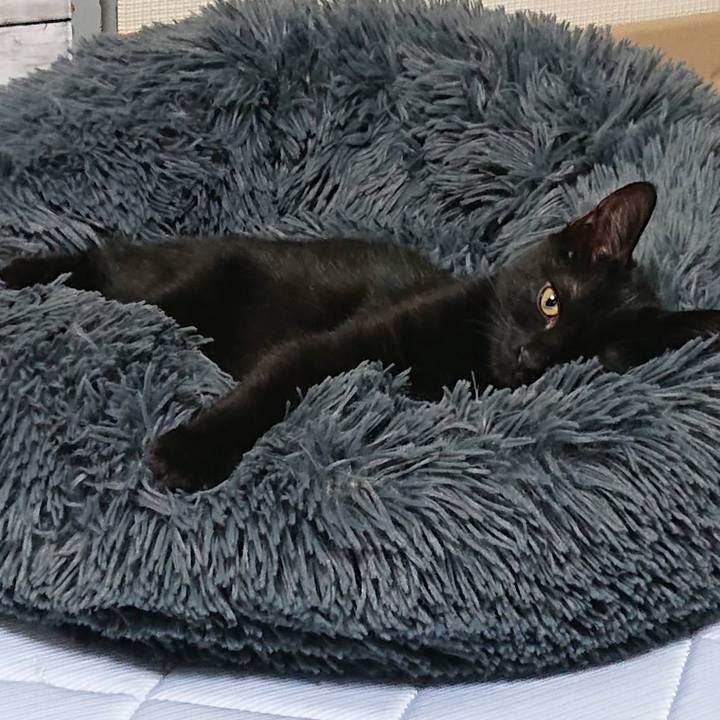 Fcf40d48 3955 4e56 b8af 566a6b63e6e7 1598769601144