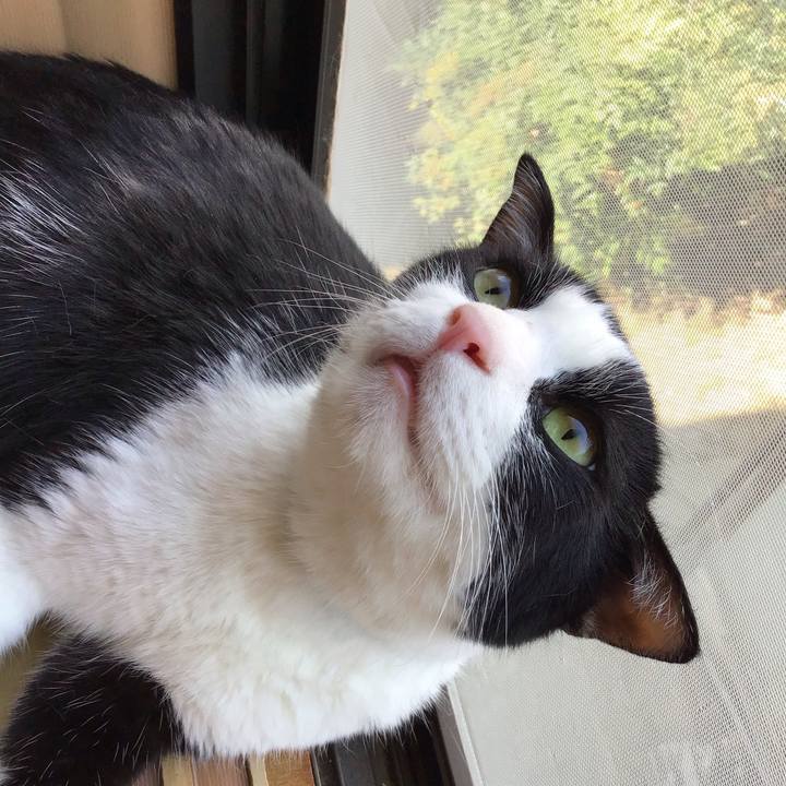 Fcf4138f 919e 4f49 b856 131a9ae61601 1755417469986