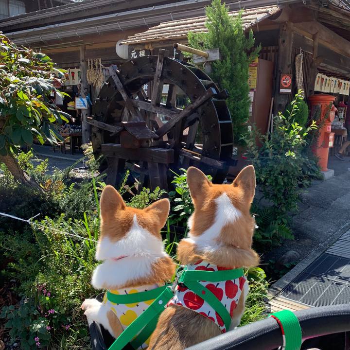 Fcf413b9 5397 45f5 9de4 96a4225207ea 1569038616626