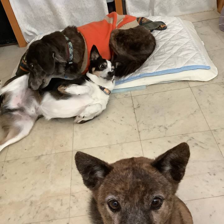 Fcf413d2 bd0f 4fca 9402 0501464b2775 1740925396739