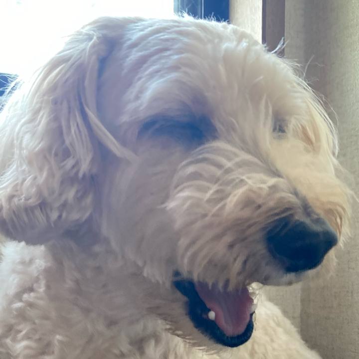 Fcf43877 5f53 4f94 bc3d 61ee77a71fe4 1758944095862