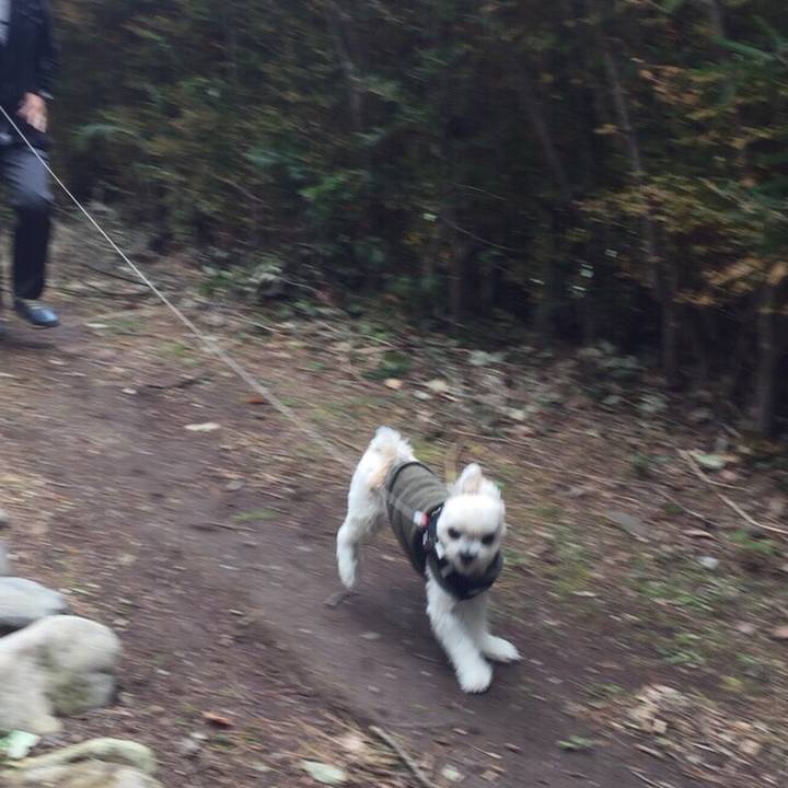 Fcf462c0 b953 4c19 9762 b3c01ecfe985 1510046479955