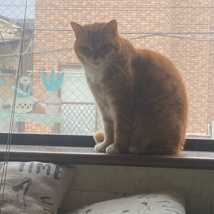 Fcf46765 afb8 4a4a a5f1 bad95366409f 1676826653866