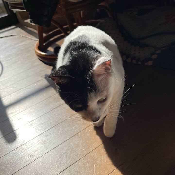 Fcf46859 f2ef 48c9 a888 3a0c1faf0c44 1763172230358