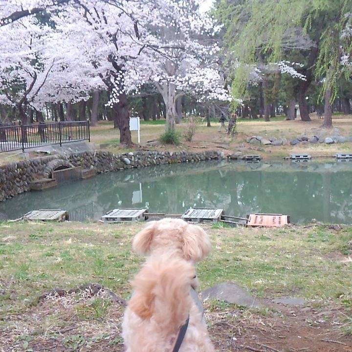 Fcf486b4 085e 4e8d bfac 9913bc74581f 1617925124300