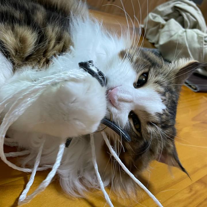 Fcf497a8 8253 43b2 a8ed 018930538de5 1648756534318