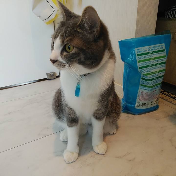 Fcf4d529 cc53 487f 83fb 582db583c8a4 1581466236511