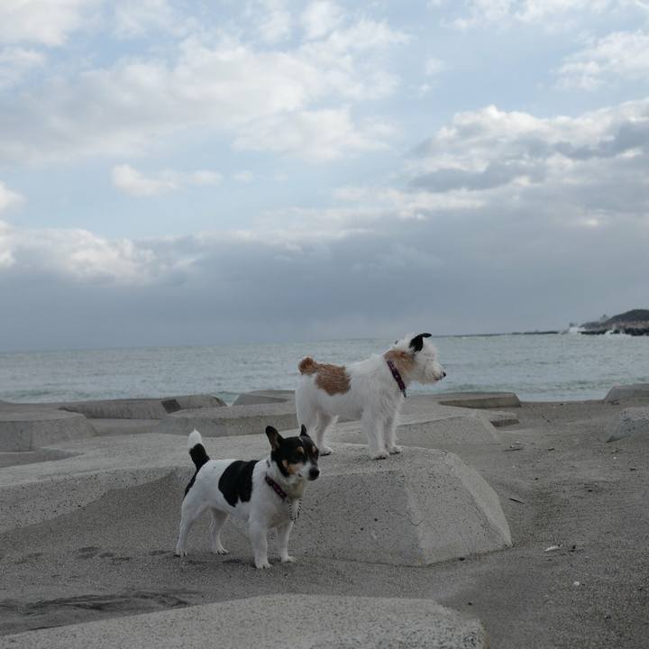 Fcf50834 8052 47f6 a162 3db9f6fe8eec 1520828273995