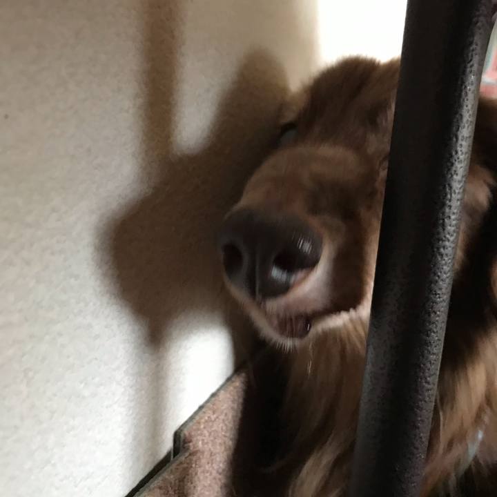 Fcf52609 ef19 4768 97d5 1e3bc0ef37cc 1595129984900