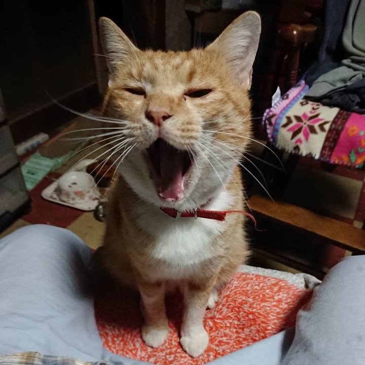 Fcf5397f 7e69 45e9 8b05 794690a5e5e4 1570564189977