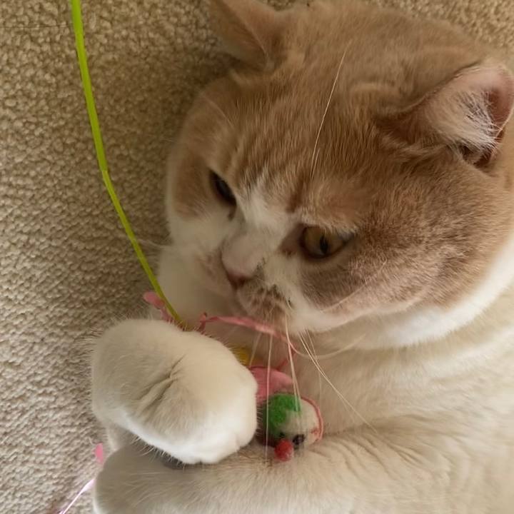 Fcf55c48 9c8a 4246 896f 009efd21c037 1666749545304