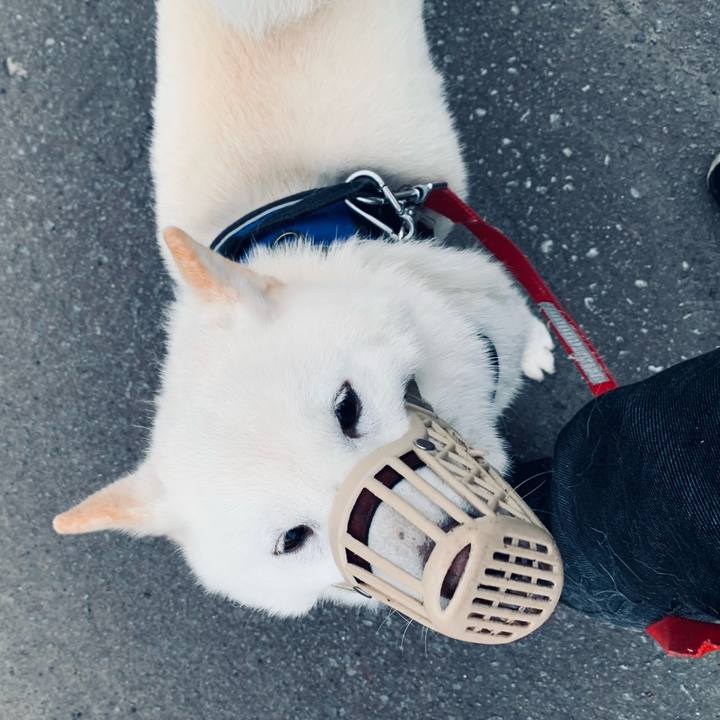 Fcf564bd 0b6c 41b5 a143 1f33011dd02f 1622494629685