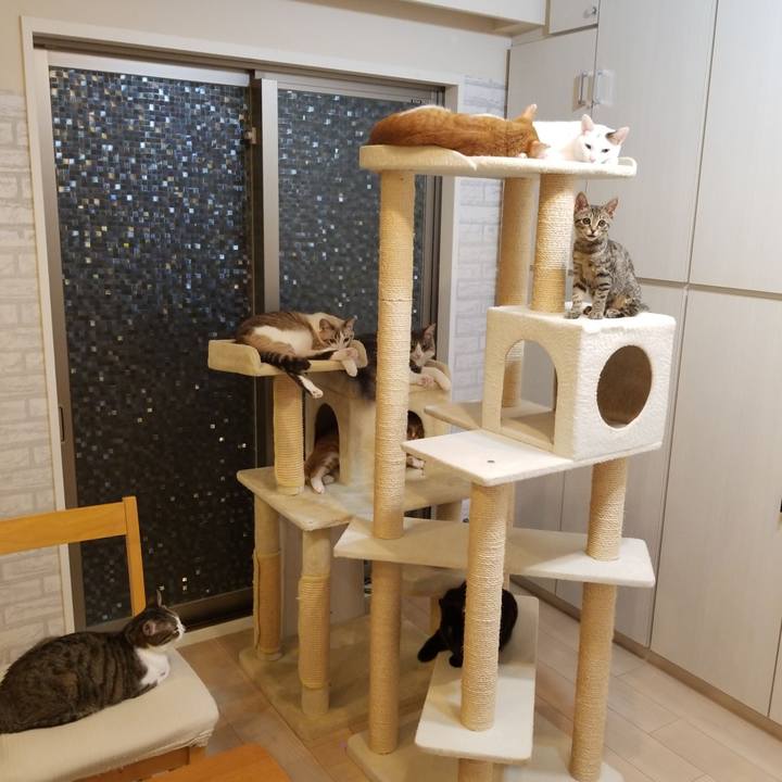 Fcf58372 444e 4c87 aaad f9ab4d0fc72a 1538126640166